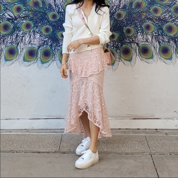 Amur Hayden Lace Midi Dress Blush Pink Size 2 NWT - Picture 2 of 11